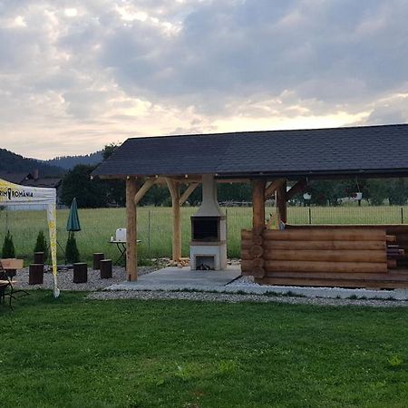 Casa Alesia Bucovina Hotel Gura Humorului Exterior foto