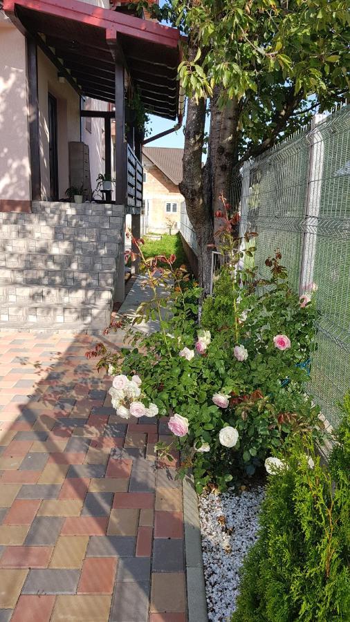 Casa Alesia Bucovina Hotel Gura Humorului Exterior foto